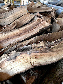 Firewood - Almond