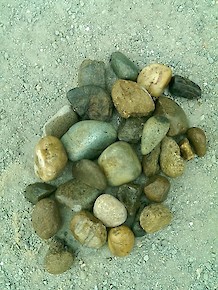 River Pebbles 1x2”